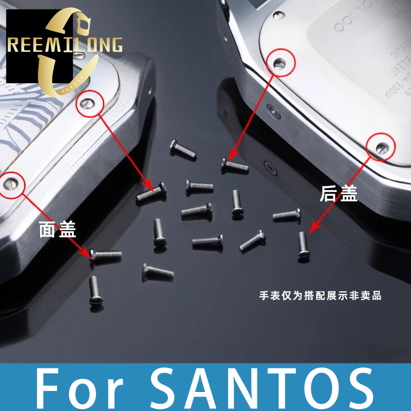 2pcs Watch cover screws for Sa – Women'S Accessories Cartier recenzja i cena