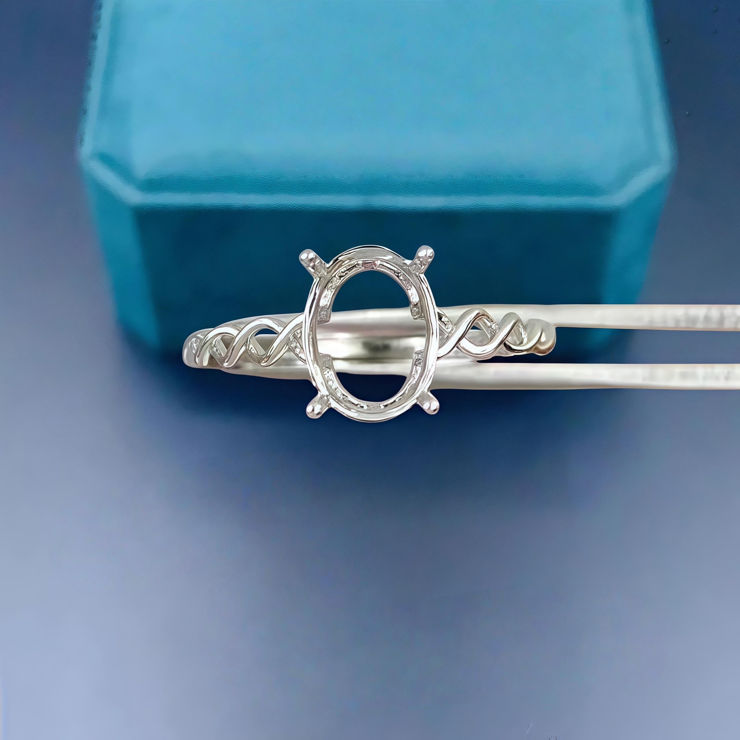 DIY Empty Ring Holder S925 Ste – Women'S Accessories Rings recenzja i cena