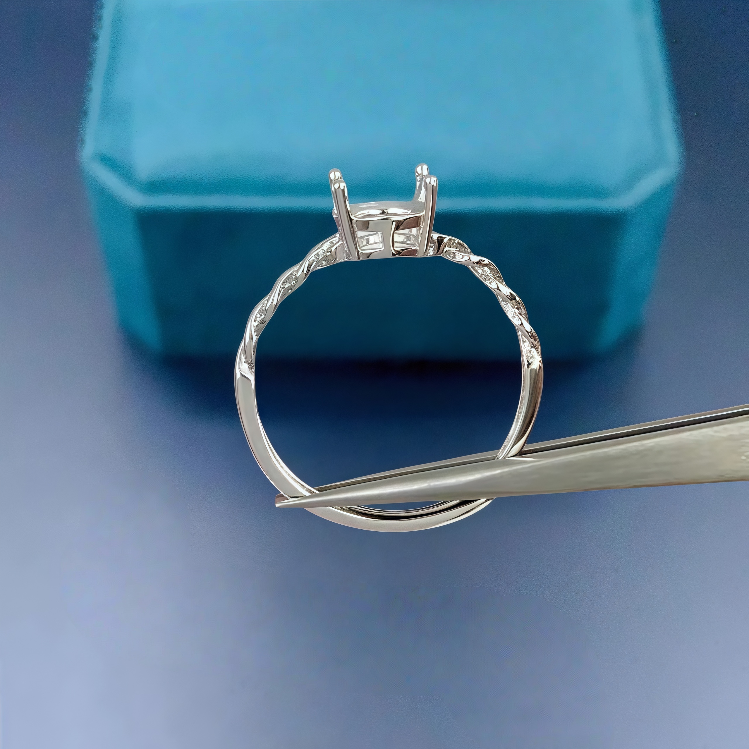 DIY Empty Ring Holder S925 Ste – Women'S Accessories Rings recenzja i cena